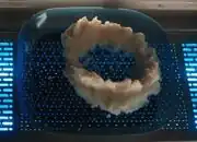 Mashed potato model of DMA