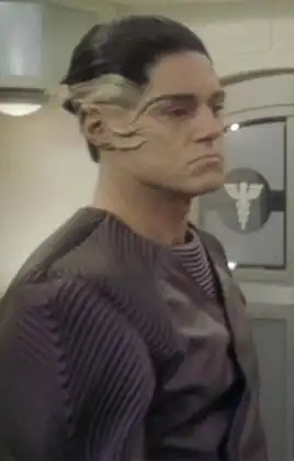 ...as a Mazarite guard