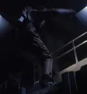 Michelle Sebek, Damage