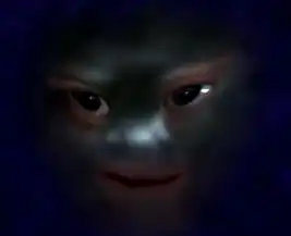 Where Silence Has Lease