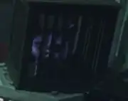 Nandi's caged animal