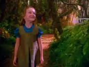 NaomiForestOfForever