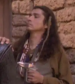 Native american guard 2