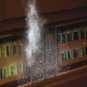 The nitrium parasite