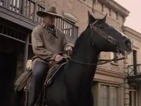 A horse being ridden by a Human male