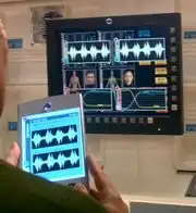 Organian brain wave patterns