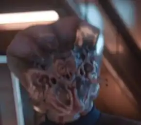 A male Osnullus (2257)