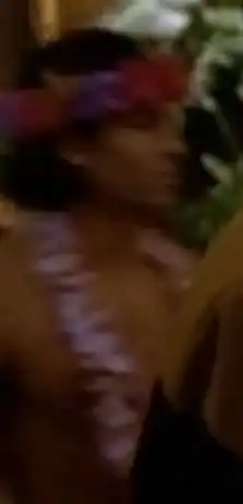 ... as a Hawaiian waiter