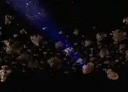 Pelloris asteroid field