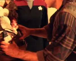 Brody as hand double for Ethan Phillips on "Caretaker"