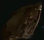 Predator class, starboard forward view