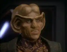 Quark in 2369