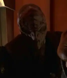 ... as stunt double for David Sparrow