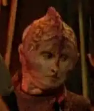 Female member of the species