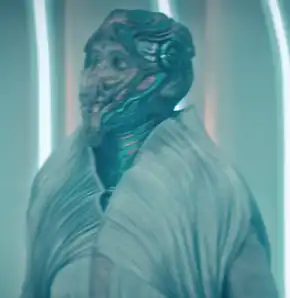 A Sarrotheyn delegate