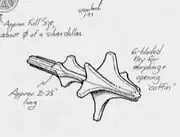 Shapeshifting locket sketch