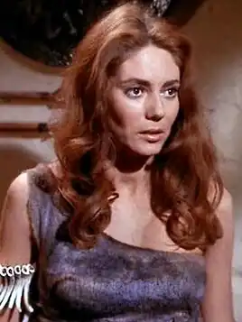 Sirah of the Yangs (2268)