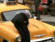Sisko hit by a cab