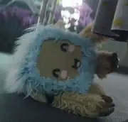 Soji's stuffed animal