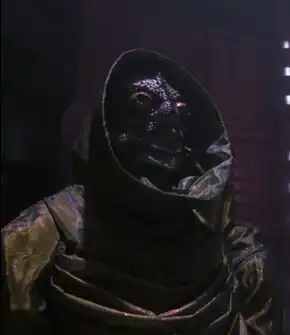 A solanogen-based lifeform