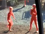 Son'a cloaked observer 2