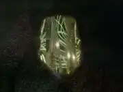 Species 8472 computer core