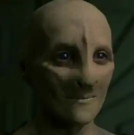 A female Sphere-Builder