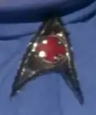 Starfleet medical division patch