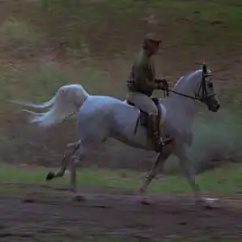 Stephane Gudju, Pen Pals