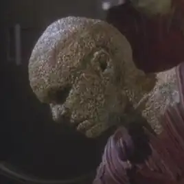 ...as a Suliban soldier