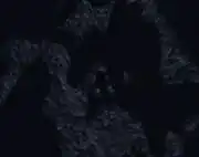 Surface of Xindi moon