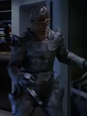 A member of the swarm species