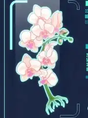 Symbiogenetic orchid diagram