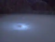 Symbionts communicating