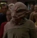 Member of the species