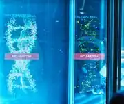 Tardigrade and Zaldan DNA