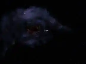 The telepathic pitcher plant