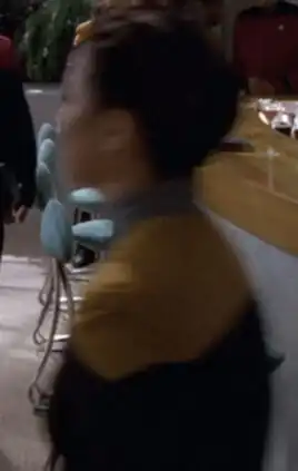 ... as a Starfleet officer