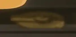 <i>Titan</i> depicted aboard the <i>Titan</i>-A