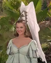 Tonia Barrows wearing a hennin