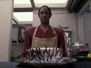 Tuvok's apron