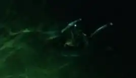 USS Venture (NCC-75306)