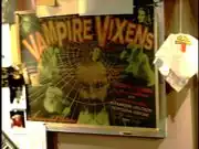 Vampire Vixens poster