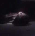 ...as a dead Vico crewmember