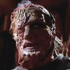 ...as the Vidiian commander