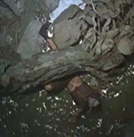 ... as stunt double for Greville Henwood