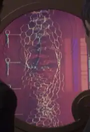 Vulcan DNA schematic