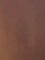 Vulcan costume, vision quest