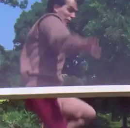 William Perry, Justice