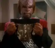 Worf's bathing suit